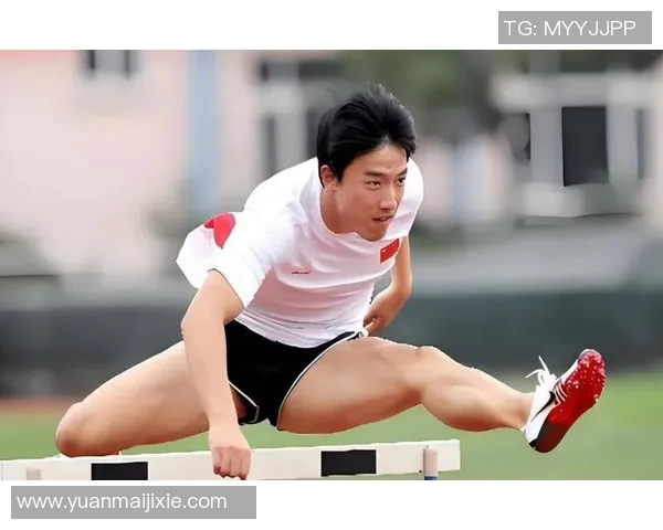 刘翔真人秀节目揭秘运动员生活背后的真实故事与挑战